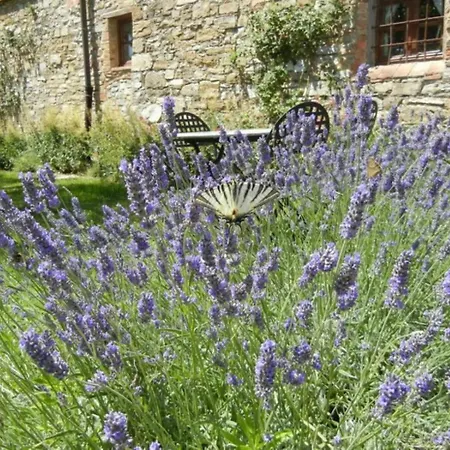Lavanda 1 Mit Veranda *